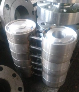 Заглушка поворотная стальная 100 -1,6 -1 09Г2С АТК 26-18-5-93